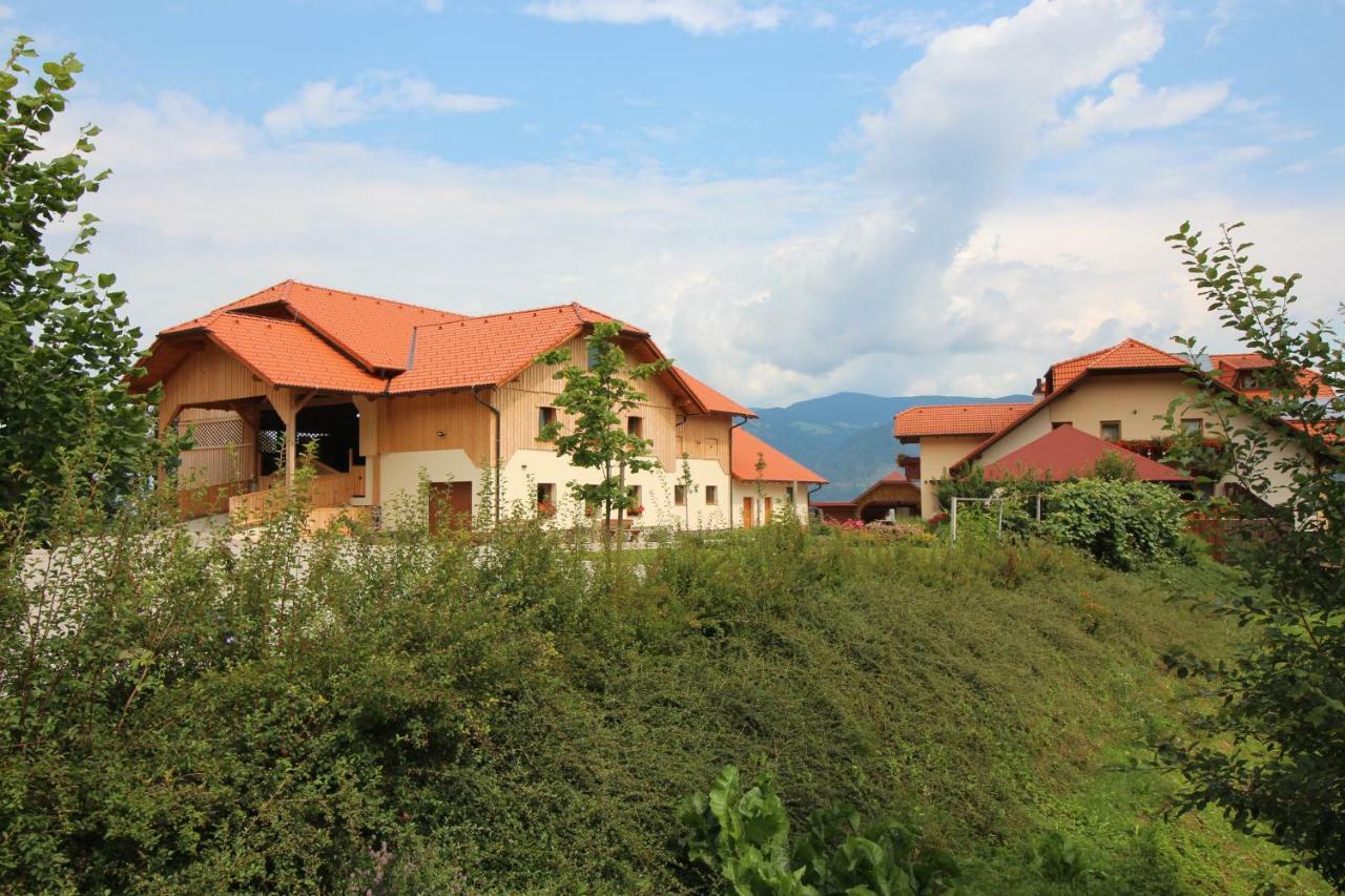 Apartments Organic Tourist Farm Jeglijenk Sentjanz pri Dravogradu ภายนอก รูปภาพ